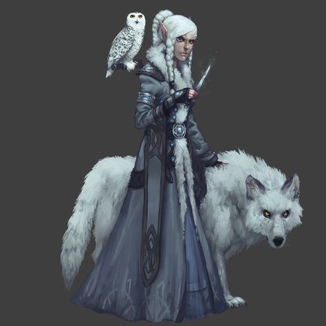 Ice Witch, Winter Witch, Witch Characters, Elf Art, Dungeons And Dragons Characters, Fantasy Images, Dungeon Master, Dnd Characters, Character Portraits