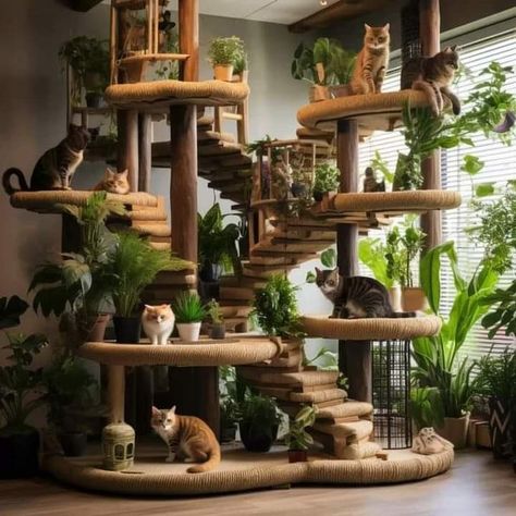 Cat Tower Diy, Animal Furniture, Diy Cat Tower, Unique Cat Trees, Cat Room Decor, Spoiled Cats, Cool Cat Trees, Cat Tree House, Cat Houses