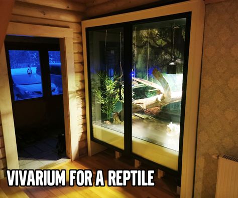 Vivarium for a Reptile Thieves Spray, Backyard Ducks, Diy Outdoor Fireplace, Tiling Tools, Cat Hammock, Floating Shelves Diy, Dog Car Seats, Terracotta Planter, Floor Framing