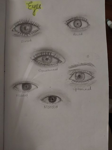 Different types of eyes for drawing a portrait Hooded Eyes Drawing, Types Of Eyes Drawing, Different Types Of Eyes, Monolid Eyes, Professional Makeup Kit, Eye Eye, Eyes Drawing, Types Of Eyes, Hooded Eyes