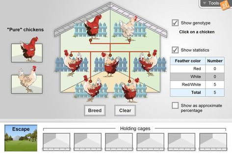 Chicken Genetics, Chicken Breeding, Common Garden Plants, Punnett Squares, Plant And Animal Cells, Plant Structure, Animal Cell, Chicken Breeds, Leaf Coloring