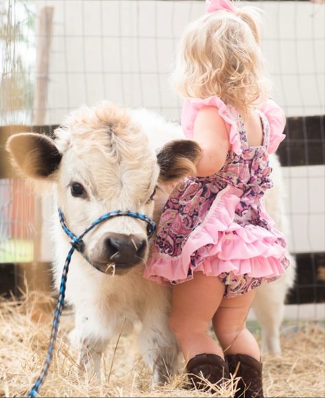 1st Birthday Cowgirl Outfit, Cowgirl First Birthday Photoshoot, Cow Minis Photoshoot, Baby And Cow Photoshoot, Mini Cow Photoshoot, Cowgirl 1st Birthday Photoshoot, Baby Farm Photoshoot, Highland Cow Photoshoot, Cow Photoshoot