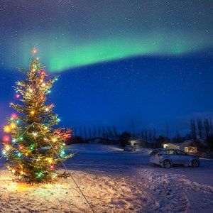 Iceland In December, Iceland Christmas, December Travel, Backgrounds Hd, Christmas Town, Picture Postcards, Iceland Travel, Travel Activities, Magical Christmas