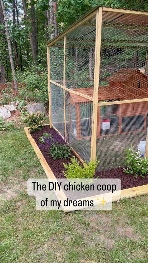 Brittni Poisson | Because you all love it so much! #chickencoop #chickens #diyer | Instagram Rustic Chicken Coop Decor, Diy Chicken Shelter, Chicken Coupe Designs, Chicken Coupe Diy Plans, Duck Coop Ideas Diy, Chicken Coop Designs Diy Cheap, Cheap Chicken Run, Diy Chicken Run Cheap, Small Chicken Coop Ideas