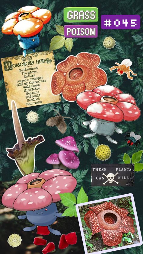 Vileplume, the Flower Pokémon #vileplume #pokemon #grasstype #poisontype #kanto #rafflesia #poisonivy #poison #flies #flowers Vileplume Pokemon, Kartu Pokemon, Trumpet Lily, Angel Trumpet, Pokemon Stickers, Grass Type, Pretty Designs, Poison Ivy, Aesthetic Images