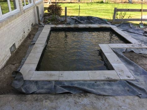 Modern Koi Pond, Backyard Koi Pond, Modern Pond, Koi Pond Backyard, Backyard Waterfalls, Diy Ponds Backyard, Koi Pond Design, Fish Pond Gardens, Goldfish Pond