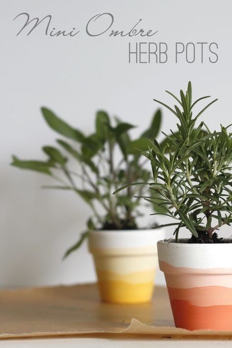 Diy Pots For Plants Paint, Diy Flower Pot Ideas, Painted Planter Pots, Recreational Therapy, Diy Keramik, Indoor Oasis, Plant Pot Design, Plant Pot Diy, Painted Pots Diy