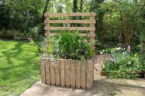 DIY Upcycled pallet planter & privacy screen Privacy Trellis, Diy Privacy Screen, Garden Privacy Screen, Patio Privacy Screen, Patio Privacy, Lawn Design, Life On A Budget, Garden Privacy, Pallet Planter