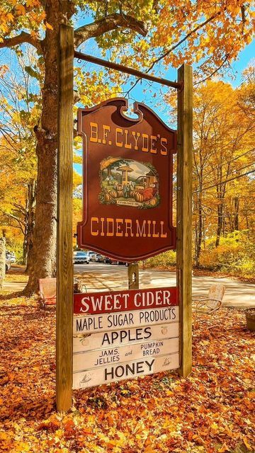 Travel Like a Local: MA on Instagram: "How to have a perfect fall weekend in Connecticut! 🍁🍎🍷 While many immediately think about heading north to the mountains for fall fun, there’s lots to do in Southern New England as well! See below for some of my picks for fun fall activities in CT this October! 🍎 Visit @clydescidermill in Mystic, the oldest steam powered cider mill in the US (make sure to try the cider donuts - SO good!) 🍷 Hit the @ctwinetrail21 to try local wines in beautiful settings Pumpkin Jelly, Fall In Connecticut, Visit Connecticut, Beautiful Settings, Cider Mill, Autumn Weekend, Fall Mood, Fun Fall Activities, New England Fall