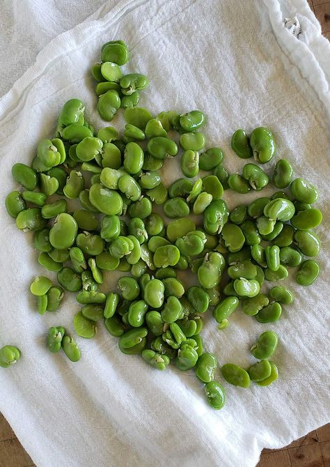 Favs Beans Recipe, How To Cook Fava Beans, Faba Beans Recipes, Fresh Fava Bean Recipe, Favs Beans, Fava Bean Recipe, Fava Beans Recipes, Whole30 Meals, Farm Harvest