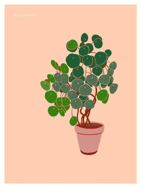 Teaching Painting, Foliage Art, Drawing Plants, Plant Embroidery, Plants In Pots, Custom Portrait Illustration, Pilea Peperomioides, Plant Tattoo, Drawing Photography