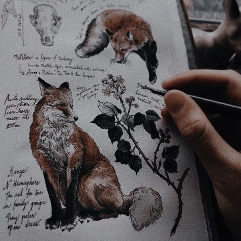 Fox Totem, Fox Boy, Pet Fox, Fox Art, Fantasy Aesthetic, Animal Sketches, High Fantasy, Story Inspiration, 귀여운 동물