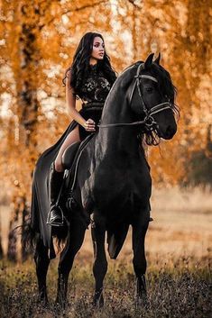 Cai Arabi, Woman Riding Horse, Horse Photography Poses, Foto Cowgirl, Cai Sălbatici, Rasy Koni, Beautiful Horse Pictures, Black Horses, Most Beautiful Horses