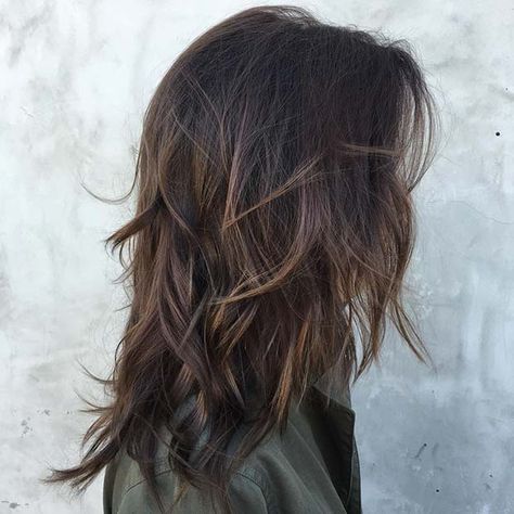 Chocolate Brown Hair, Layered Hair, Chocolate Brown, Wavy Hair, Brown Hair, The Back, Bangs, Highlights, Wall