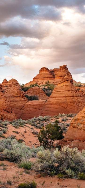 The Wave, Coyote Buttes [Maps, Permits & More] Utah Ski Resorts, Coyote Buttes, Paria Canyon, Utah Skiing, Gorgeous Scenery, Dark Skies, The Wave, International Travel, Antelope Canyon