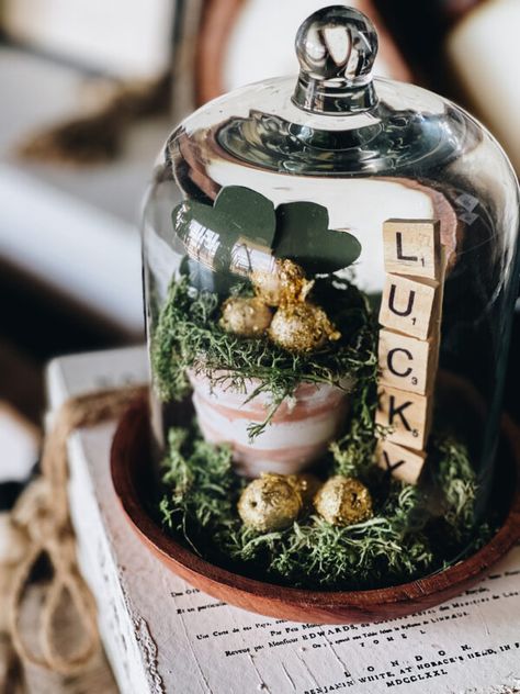 Diy St Patricks Day Decor, Sant Patrick, St Patricks Decorations, St. Patrick's Day Diy, Cloche Decor, St Patricks Crafts, Irish Decor, St Patrick's Day Decorations, Saint Patties