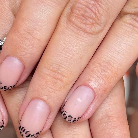 • J A D E • on Instagram: "Dainty matte leopard print french tips for my sister today 🔥  #nail #nails #nailart #nailartist #handpainted #handpaintednailart #newnails #newnailday #french #frenchtip #frenchnails #leopard #leopardnails #leopardprint" Cute Leopard Nails, Short Leopard Print Nails, Leopard Print French Tips, Leopard French Tip, Cheetah Print Nails, Cheetah Nails, Leopard Print Nails, Leopard Nails, Painted Nail Art