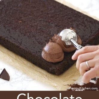 Easy Chocolate Cake Decoration, The Best Chocolate Sheet Cake, Chocolate Birthday Cake Decoration, Birthday Sheet Cakes, Preppy Kitchen, Chocolate Sheet Cake, Sheet Cake Recipes, Rich Chocolate Cake, Dump Cake Recipes