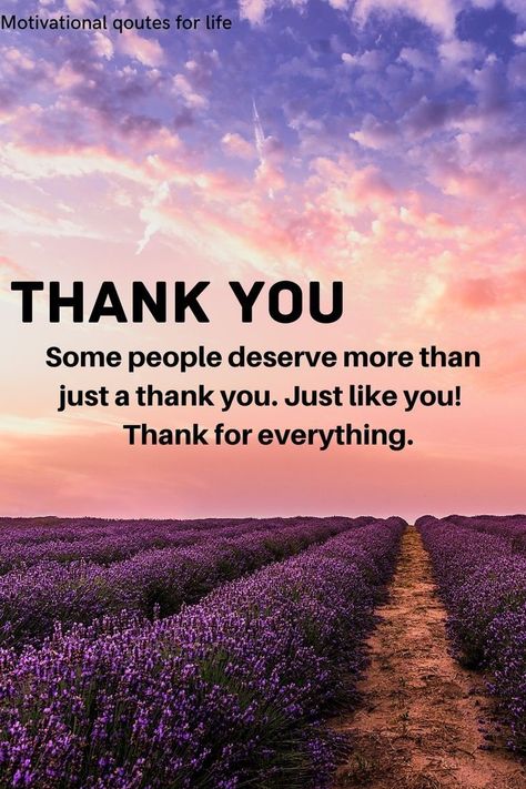 Thanks Babe Quotes, Thank You For Trusting Me Quotes, Thank You For A Wonderful Time, Thank You So Much For Your Kindness, Thank You For All Your Help, Thank You For Your Generosity Quotes, You Deserve Everything Quotes, Thank You For Caring About Me, Thanks For Everything Quotes