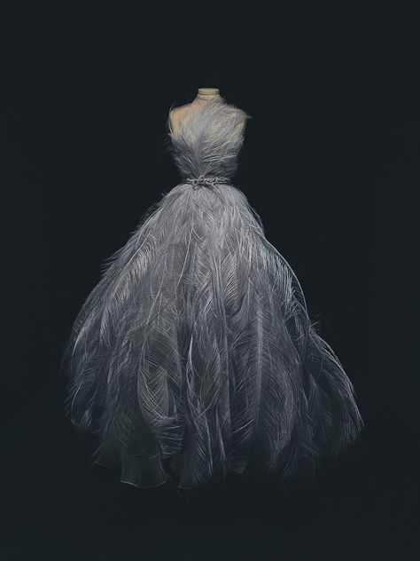 Ostrich Feather Christian Dior Gown. Paris Dior Black Dress, Ostrich Feather Dress, Christian Dior Gowns, Dior Gown, Dior Aesthetic, Ostrich Feather, Western Wedding, Adidas Outfit, Feather Dress