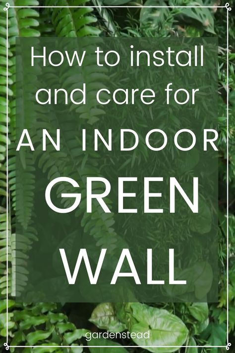 Indoor Green Wall, Living Plant Wall, Home Green, Living Wall, Plant Wall, Green Wall, Zero Waste, Indoor Plants, New Home