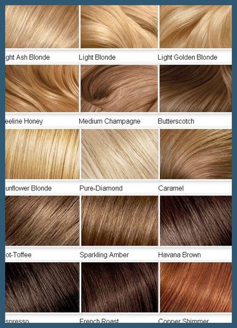 Blonde hair, light blonde, shade chart, brown, brunette, blonde Blonde Color Chart, Blonde Hair Color Chart, Which Hair Colour, Brunette Ombre, Honey Hair Color, Hair Blond, Dyed Blonde Hair, Brunette Balayage, Hair Color Chart