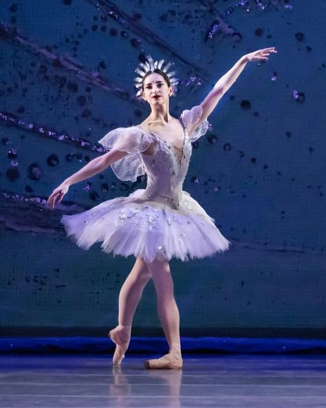 Caroline Perry in Cincinnati Ballets production of Don Quixote. Act II dream scene. Don Quixote Ballet, Famous Ballets, Don Quixote, Cincinnati, Acting, Ballet, On Instagram, Quick Saves, Instagram