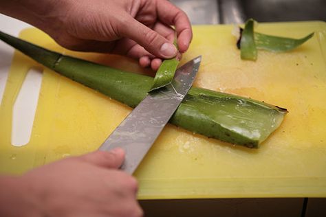 How to Make Aloe Vera Gel: 7 Steps - wikiHow #home #DIY Aloe Vera Mask, Moisturize Dry Hair, Fresh Aloe Vera, Aloe Vera For Hair, Natural Kitchen, Help Digestion, Aloe Gel, Aloe Vera Plant, Aloe Plant