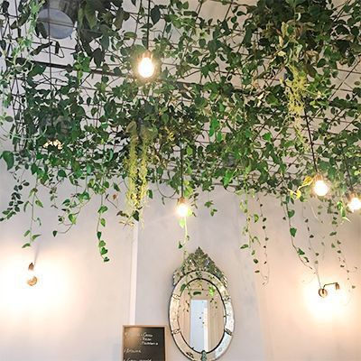 Massage Therapy Rooms, Green Inspo, Plant Installation, Aesthetic Wall Decor, Floating Garden, Brunch Places, Hanging Plants Indoor, Hanging Vines, Diy Plant Hanger