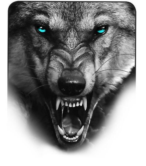 Wolf Face Tattoo Design, Wolf Tattoo Hand, Angry Wolf Tattoo Design, Wolf Hand Tattoo, Wolf Eye Tattoo, Wolf Face Tattoo, Grey Wolf Tattoo, Tiger Hand Tattoo, Lion Art Tattoo