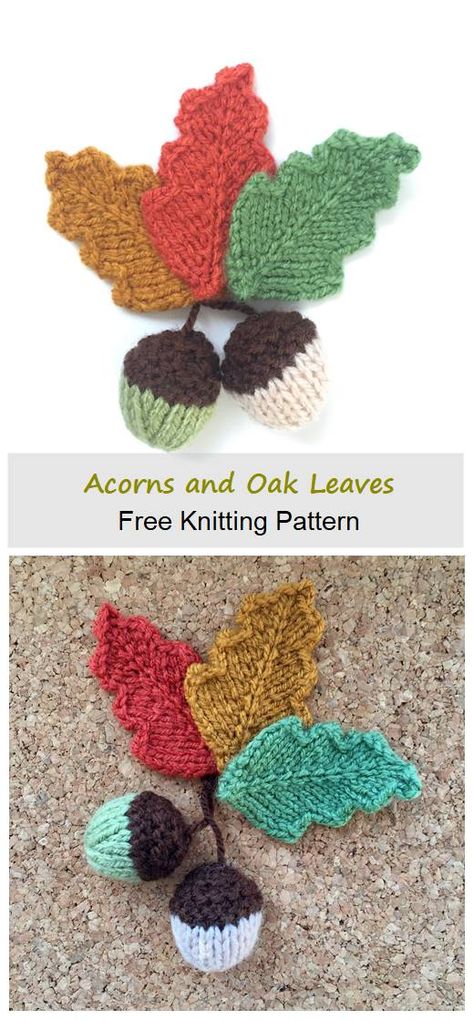 You can download Autumn Acorns and Oak Leaves Free Knitting Pattern for free Acorns And Oak Leaves, Knitted Acorns Free Pattern, Knitted Acorn Pattern Free, Knitted Leaf Pattern Free, Knitted Leaves Free Pattern, Autumn Knitting Patterns Free, Knitted Leaves, Leaf Knitting Pattern, Halloween Knitting Patterns