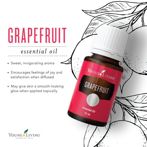 Grapefruit Grapefruit Essential Oil Young Living, Young Living Grapefruit, Young Living Oils Recipes, Essential Oil Starter Kit, Living Oils Recipes, Young Living Essential Oils Recipes, Yl Essential Oils, Diffuser Blend, Grapefruit Essential Oil