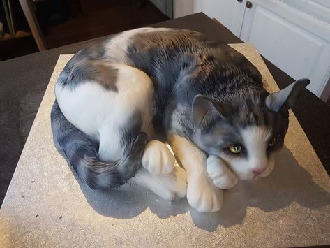 Cat Cake Realistic, Carving Cake Recipe, Carved Cakes, Cat Cakes, Pool Cake, Cat Collector, Chocolate Recipes Homemade, 3d Cakes, Cat Birthday Party