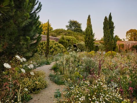 What is chaos gardening and should we all be trying it? | House & Garden Drought Tolerant Garden, Mediterranean Plants, Dry Garden, Gravel Garden, Castle Garden, Mediterranean Garden, Drought Tolerant Plants, Chelsea Flower Show, House Garden