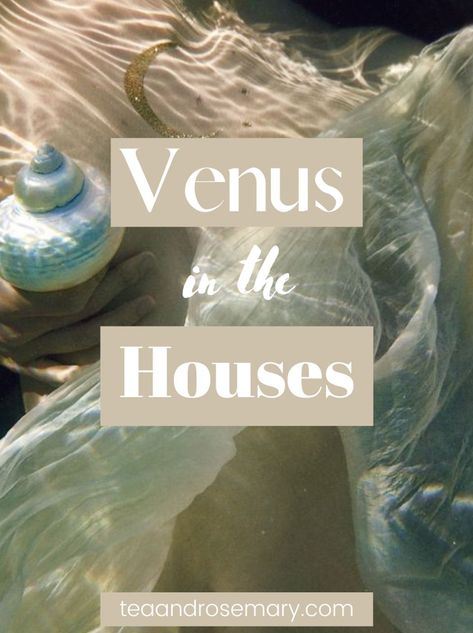 Venus in the houses for beginner astrology Leo Qualities, Venus In Capricorn, Venus In Virgo, Venus In Libra, Venus In Pisces, Venus In Leo, All About Pisces, Feeling Wanted, Pisces Man