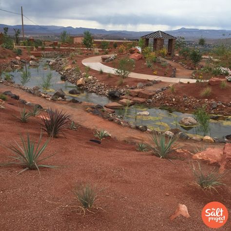 The Red Hills Desert Garden | St. George | The Salt Project | Things to do in Utah with kids Utah With Kids, Things To Do In Utah, St George Utah, Red Hill, Utah Travel, Desert Garden, Most Beautiful Gardens, Better Homes And Garden, St George