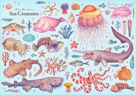 Encyclopedia of Strangely Named Animals on Behance Animal Encyclopedia, Whale Sketch, Weird Sea Creatures, Illustrative Design, Whale Crafts, Whale Drawing, Strange Animals, Sea Creatures Art, Animals Illustration