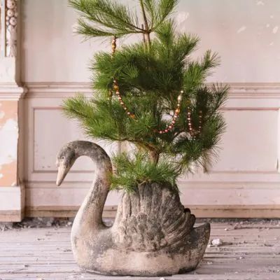 FRENCH COUNTRY CHRISTMAS | Shop Sales Events Antique Farmhouse Christmas Mantelpiece, Farmhouse Estate, Antique Christmas Decorations, Swan Planter, French Country Christmas, Swan Decor, Holiday Greenery, French Christmas, Diy Arrangements