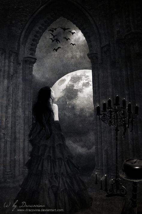 Dark Romance by ~Dracovina on deviantART The Moon, A Woman, Romance, Deviantart, Moon