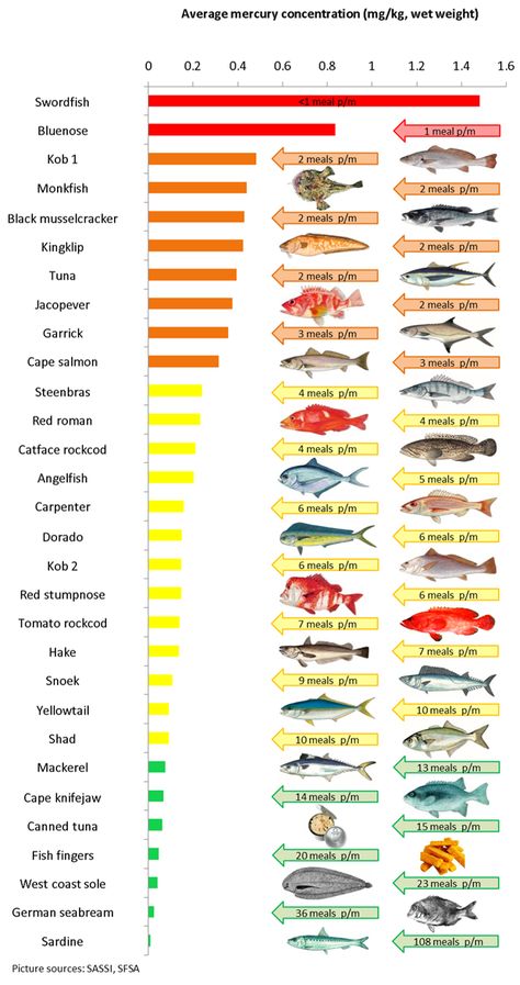 Low Mercury Fish, Neurological System, Fish Finger, Fish Feed, Developmental Delays, Fishing Life, Environmental Health, Food Chain, Angel Fish