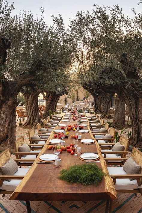 Six Senses, Ibiza Wedding, Olive Trees, Table Set Up, Al Fresco Dining, Luxury Resort, Table Set, Best Hotels, Boutique Hotel