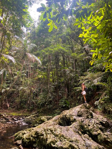 Rainforest Picture Ideas, Hiking Rainforest, Rainforest Pictures, Philippines Trip, 2023 Vibes, Jungle Hike, Hiking Girl, Hiking Pics, Board Pictures