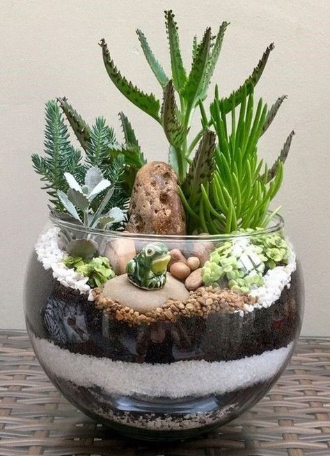 Mason Jar Succulents, Kaktus Dan Sukulen, Diy Succulent Terrarium, Succulent Garden Indoor, Succulent Garden Design, Succulent Centerpieces, Succulent Garden Diy, Decoration Plante, Succulent Gardening