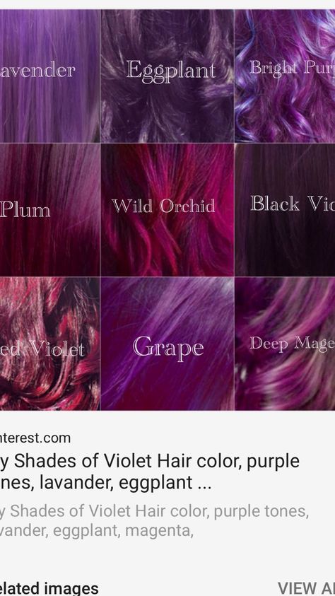 Wild Orchid Hair Color, Mulberry Hair Color, Aubergine Hair Color, Purple Burgundy Hair, Orchid Hair Color, Raspberry Hair Color, Dark Violet Hair, Burgundy Hair Dye, Violet Hair Colors