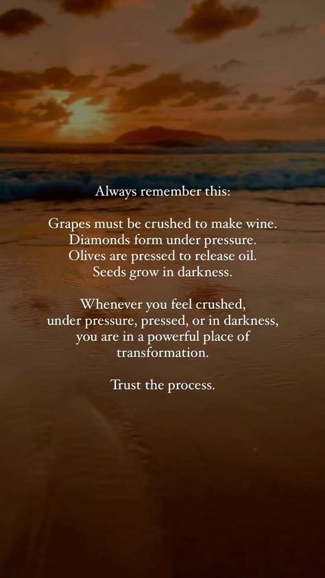 ✨Trust the process✨ Always remember this: Grapes must be crushed to make wine. Diamonds form under pressure. Olives are pressed to release… | Instagram Grapes Must Be Crushed To Make Wine, Feeling Crushed Quotes, Pressure Makes Diamonds Quotes, Grape Quotes, Process Quotes, Trust The Process Quotes, Pressure Makes Diamonds, Pressure Quotes, Diamond Quotes