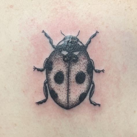 Tattoos 2023, Ladybug Tattoo, Lady Bug Tattoo, Body Decor, Bug Tattoo, Knee Tattoo, Tattoos Ideas, Piercing Tattoo, Tattoo Inspo