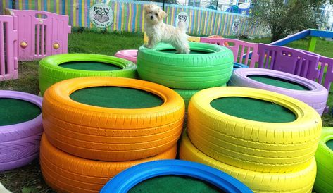 Dog Play Structure ~ Tire climbing pyramid made from 21 used tires. The tires were filled with dirt, then a layer of gravel at the tops. They were powerwashed and then painted, and outdoor drainable carpet was used to cover them. For more images, check out our facebook page PuppyLoveNL or our website www.PuppyLoveNL.com Diy Dog Outdoor Area, Dog Tire Playground, Dog Enrichment Ideas Outdoor, Outdoor Dog Area Play Spaces, Dog Play Area Indoor, Dog Landscaping, Dog Daycare Design, Outdoor Dog Area, Dog Boarding Ideas