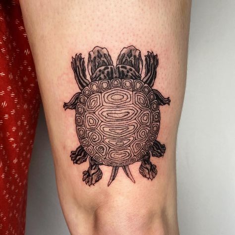 Two Headed Turtle Tattoo, Turtle Drawing Tattoo, Abstract Turtle Tattoo, Halibut Tattoo, Turtles All The Way Down Tattoo, Painted Turtle Tattoo, Shackle Tattoo, Box Turtle Tattoo, Turtle Shell Tattoo