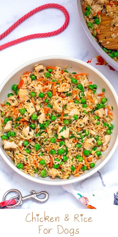 Chicken and Rice for Dogs Chicken And Rice For Dogs, Chicken And Rice Crockpot, Dog Food Recipes Crockpot, Chicken Flavored Rice, Chicken Dog Food Recipes, Easy Dog Treat Recipes, Make Dog Food, Riced Veggies, Diy Dog Food