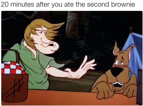 Just tell them you can smoke it. Scooby Doo Memes, Scooby Doo Mystery Inc, Scooby Doo Mystery Incorporated, Scooby Doo Mystery, Dc Memes, What’s Going On, Tumblr Funny, Tumblr Posts, Satire